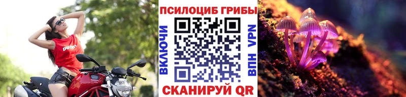 Псилоцибиновые грибы Cubensis Карабаново